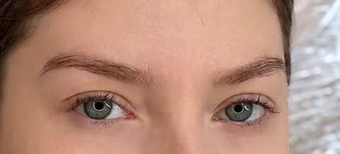 Cejas técnica polvo, hasta la cicatrización · antes