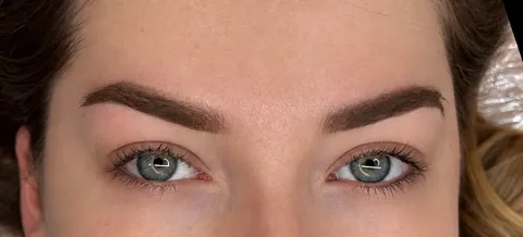 Cejas técnica polvo, hasta la cicatrización · recién hecho
