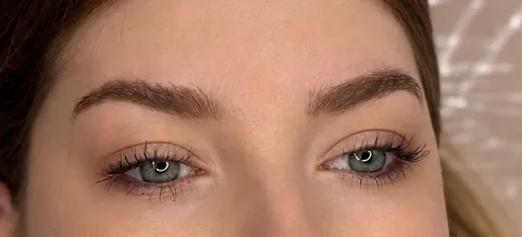 Cejas técnica polvo, hasta la cicatrización · cicatrizado